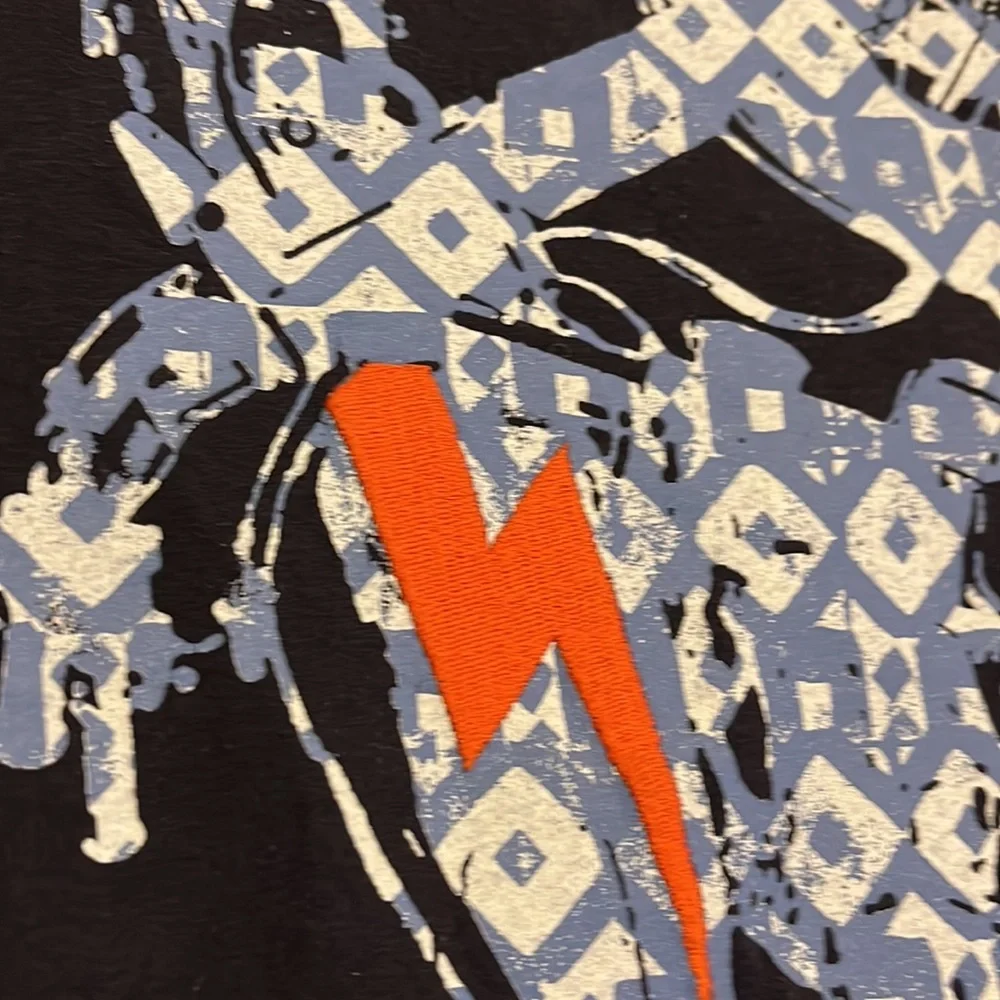 Gymboree Silkscreened and Embroidered Tee